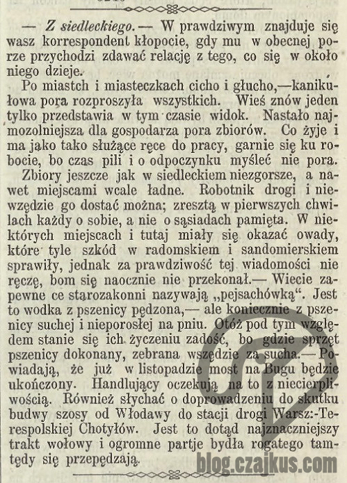 1869 - PejsachówkaW